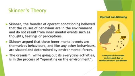 Operant Conditioning Theory