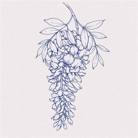 Wisteria Floral Art Print for Plant Lovers