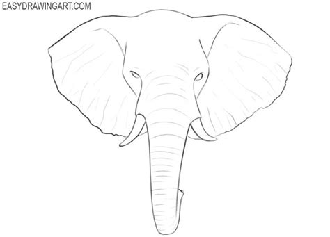 How to Draw an Elephant Head | Easy Drawing Art | Elephant drawing ...