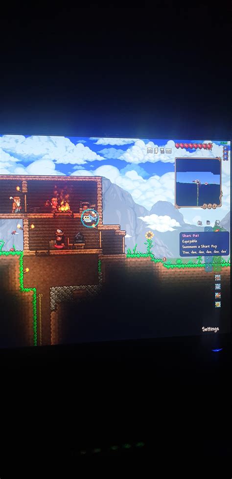 First Shark Pup Pet I've seen :^) : r/Terraria