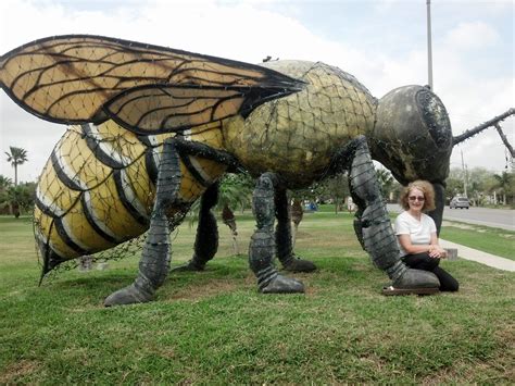 The World’s Largest Killer Bee Can be Found in This Texas Town