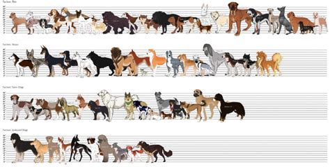 What Is Considered a "Large Dog Breed?"