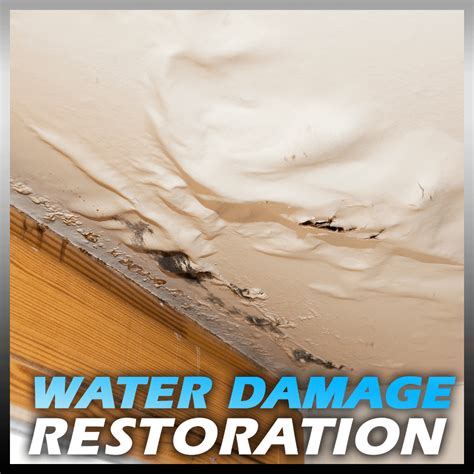 WATER RESTORATION Archives - Professional Cleaning Supply