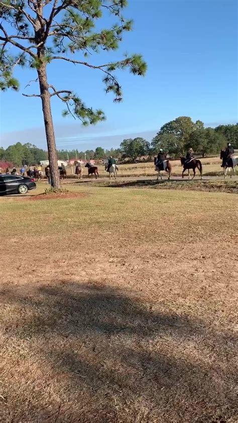 Cobbtown, Ga Fall Trail Ride 2019 | By Building Bridges Saddle Club