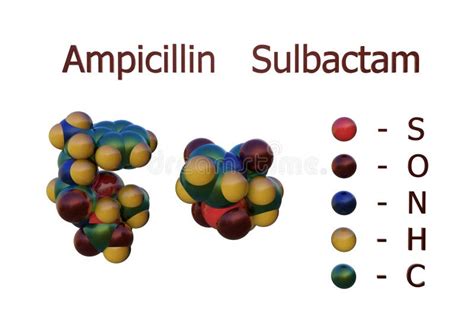 Ampicillin and Sulbactam Interaction in Pharmacology Stock Illustration - Illustration of lehnes ...