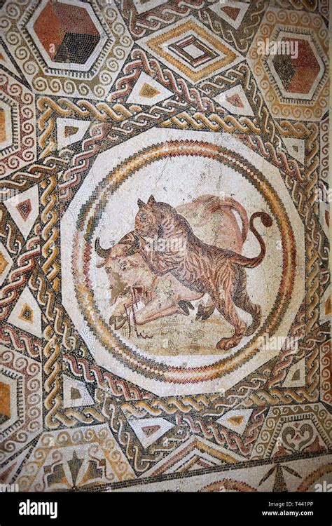 Picture of a geometric Roman mosaics design depicting lions hunting animals, from the ancient ...