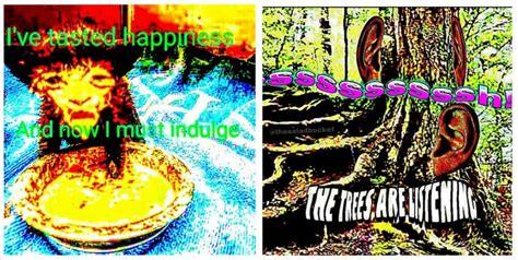 The Return of Deep-Fried Memes - Trill Mag