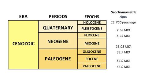 Geologic Time Scale | Orton Geological Museum