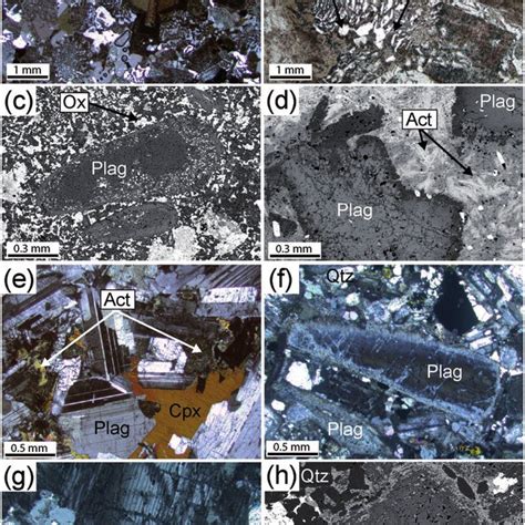 Representative photomicrographs of textures in thin section. (a) Felsic... | Download Scientific ...