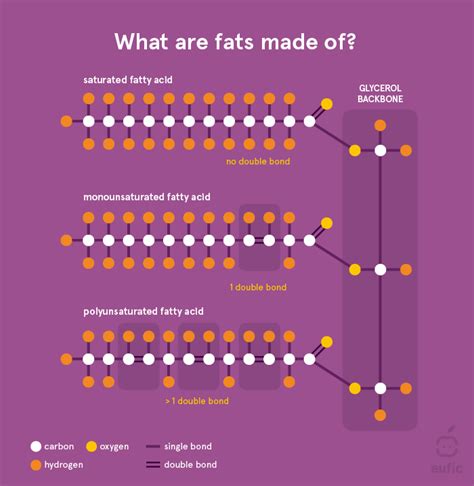 What are saturated fats and are they bad for our heart?: (EUFIC)