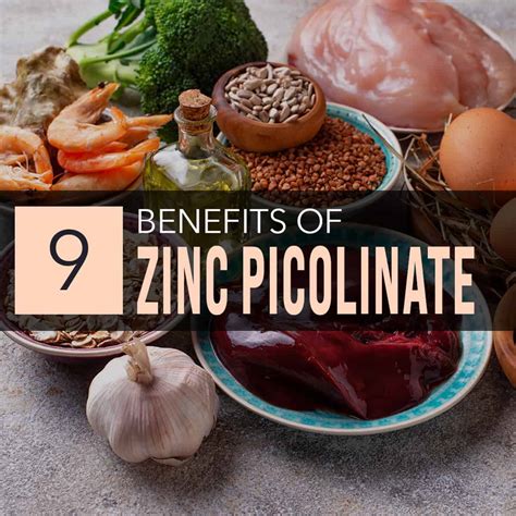 Do you know your Body's Required Zinc Intake? Here's What You Need to Know about Zinc Picolinate