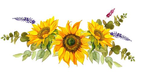 Yellow Sunflower, Watercolor on a White Background. Sunshine, Sunny Flower Stock Illustration ...