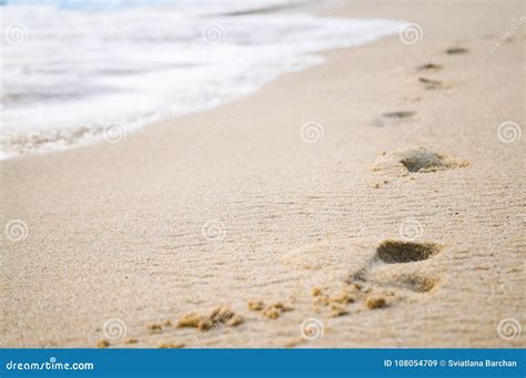 Footprints in the Sand at Sunset Stock Image - Image of human, peaceful ...