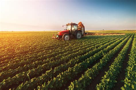 Agriculture, trade expected to boost ag industry | 2019-09-25 | Food Business News