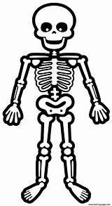 Standing Skeleton A4 Coloring Page Printable sketch template