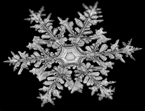 Colorado doctor Jason Persoff captures close-up photos of snowflakes ...