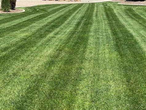 How To Stripe My Lawn - Tuxedo Yard Care