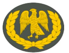 Nigerian Army Ranks And Symbols – Infoguidenigeria