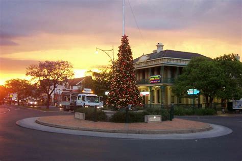 Camden Council Library Services Blog: January 2011