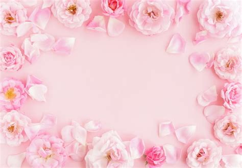 Tổng hợp 800 Rose pink backgrounds Gợi cảm và Lãng mạn