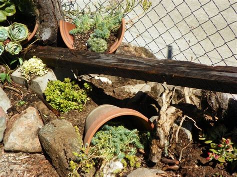 How To Build A Lizard Habitat-Organic Gardening.How would we modify it ...