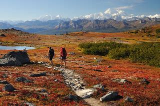 Hiking on Kesugi Ridge. Denali State Park, Alaska | The tund… | Flickr