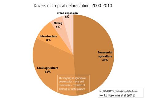 😀 Rainforest depletion caused by logging thesis. Cause And Effect Of Forest Depletion Free ...