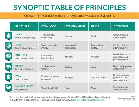 Synoptic Table of Principles Comparison Infographic Template - Venngage