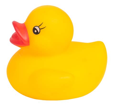 Rubber duck png free image png