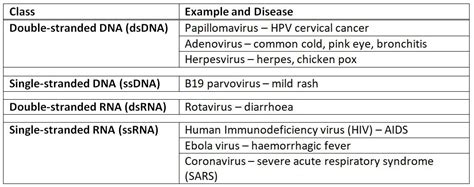 What are viruses? — MondoScience