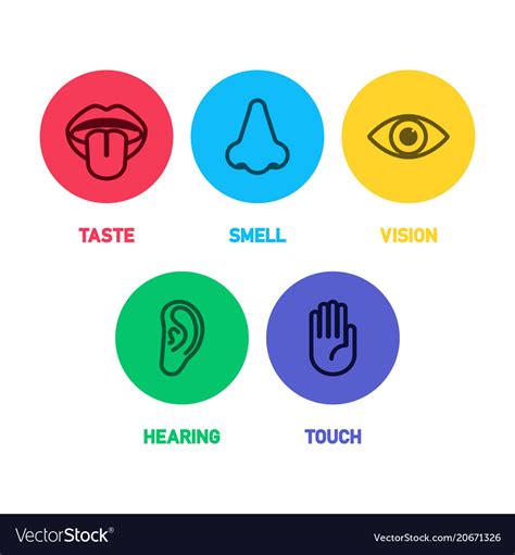 Icon set of five human senses Royalty Free Vector Image