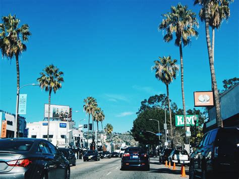 Free stock photo of california, los angeles, palms