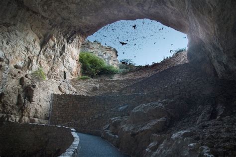 Bats in Caves (U.S. National Park Service)