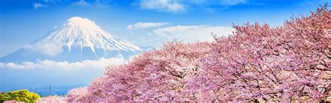 10-Day Japan Cherry Blossom Spring 2025 Mini-Group Highlights Tour