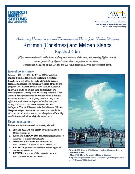 (PDF) Addressing Humanitarian and Environmental Harm from Nuclear ...