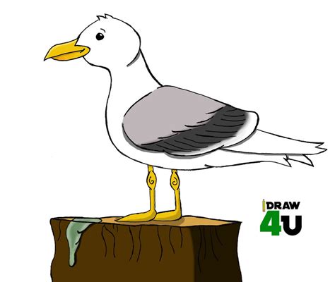 Seagull Cartoon Drawing at GetDrawings | Free download