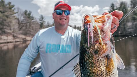 8 Spinnerbait Tips for Springtime Bass Fishing - Wired2Fish