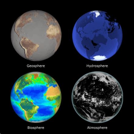 Emerging From the Thicket: Chapters 3 and 4: The Biosphere and The ...