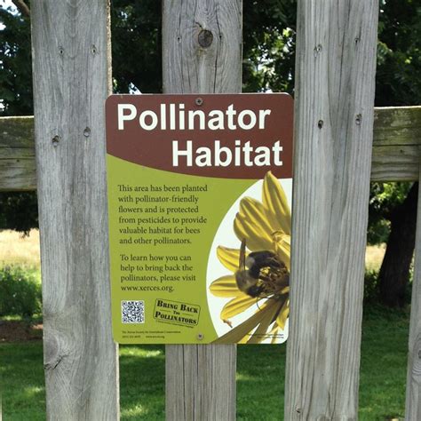 pollinator-habitat – Serenity Farm Virginia