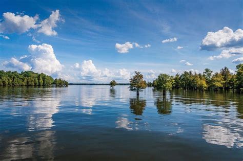 Santee Cooper Lakes - Marion and Moultrie