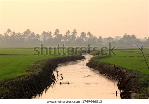 1,722 Kuttanad Images, Stock Photos & Vectors | Shutterstock