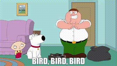 Peter Griffin Bird Is The Word Gif