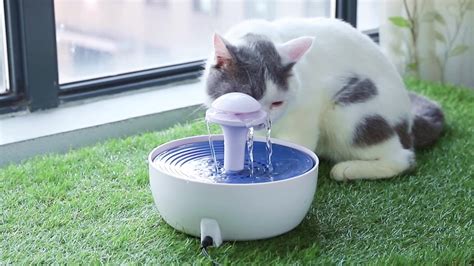 Fashion Battery Operated Automatic Cat Drinking Fountain Pet Water Fountain - Buy Pet Water ...