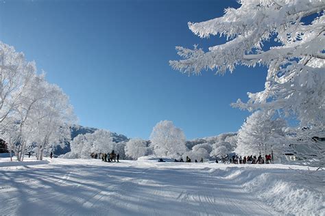 Nozawa Onsen, on one page charms and highlights quickly, Hot Spring Resort, Nagano – Fantastic ...