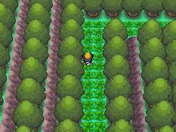 Pokemon HeartGold and SoulSilver - Pal Park Guide