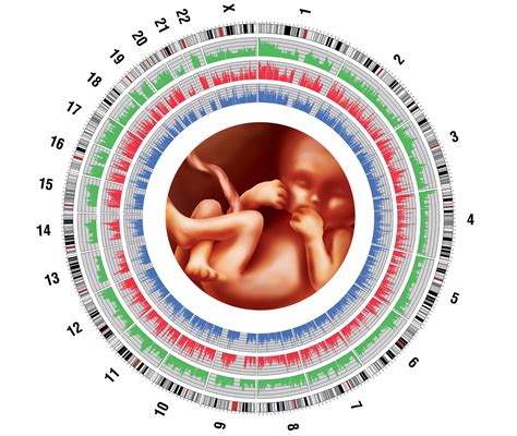 A Noninvasive Future: Prenatal Genetic Testing Looks to Single-Cell Methods as the Next Frontier