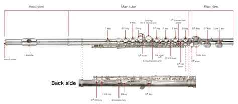 Flute Diagram And Care Instructions