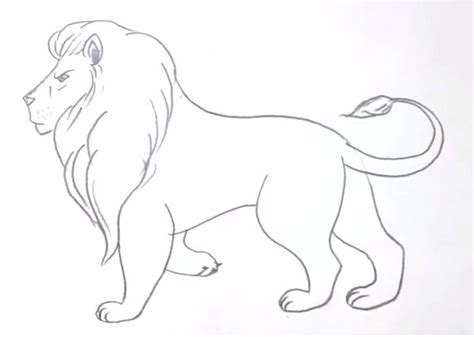 Simple Lion Drawing in Four Steps