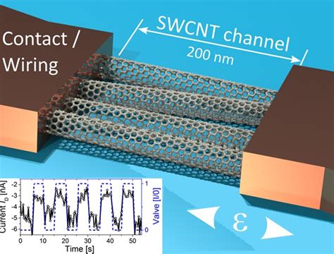 Carbon nanotube giant piezoresistive strain sensors - Fraunhofer ENAS