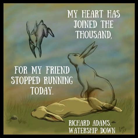 Fiver Watership Down Quotes - ShortQuotes.cc